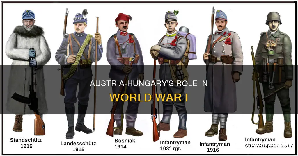 how austria-hungary caused ww1