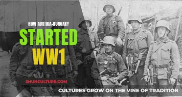 Austria-Hungary's Role in World War I