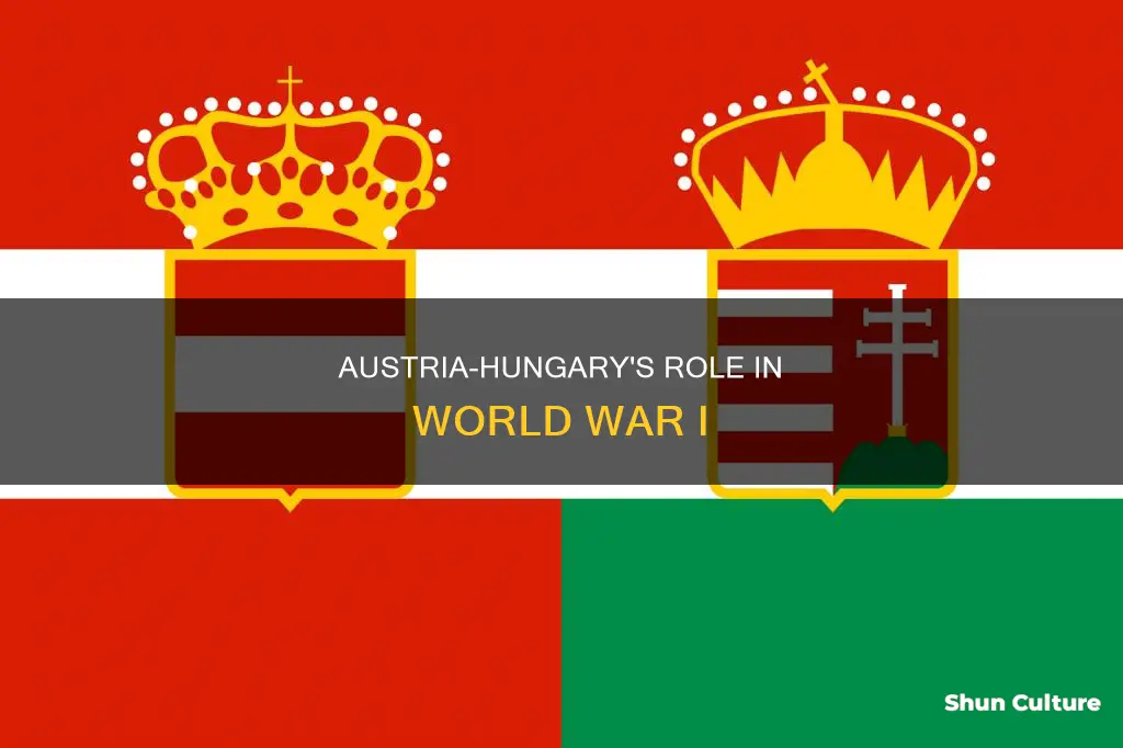 how austria-hungary started ww1