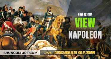 Napoleon's Legacy in Austria: A Historical Perspective