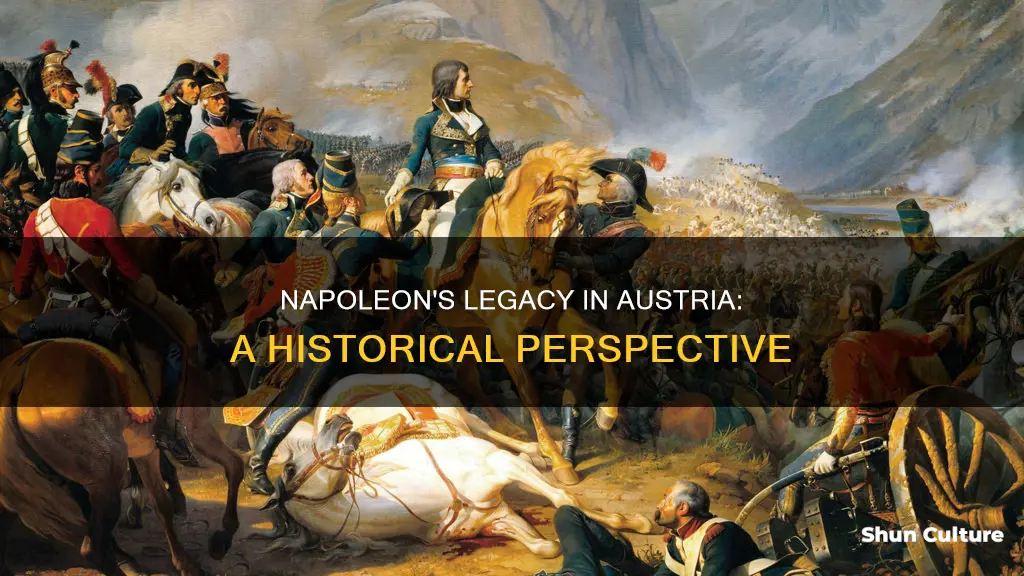 how austria view napoleon