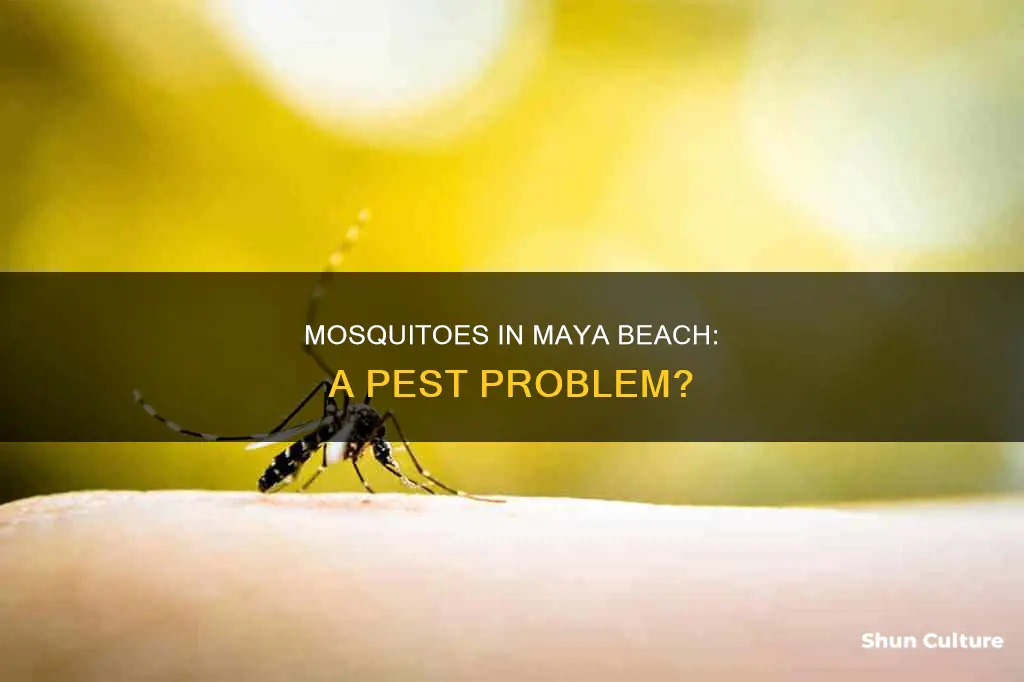 how bad are mosquitoes in maya beach placencia belize