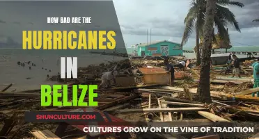 Belize's Hurricane Season: What's the Real Danger?