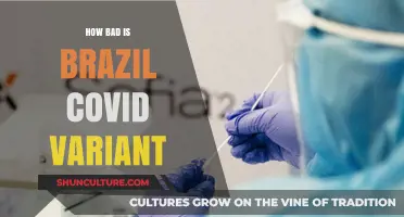 Brazil's COVID-19 Variant: Risks, Concerns, and Global Impact Explained