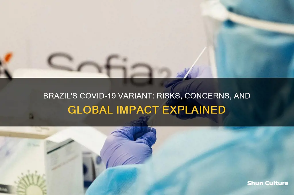 how bad is brazil covid variant