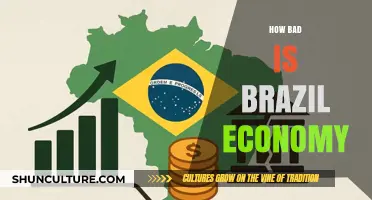 Brazil's Economic Struggles: Unraveling the Challenges and Consequences