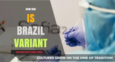 Brazil Variant Concerns: Understanding Risks, Spread, and Global Impact