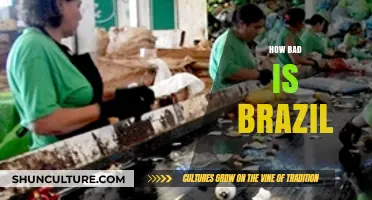 Brazil's Struggles: Uncovering the Harsh Realities and Challenges