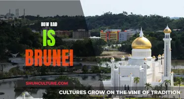 Brunei: A Country Plagued by Strict Islamic Laws