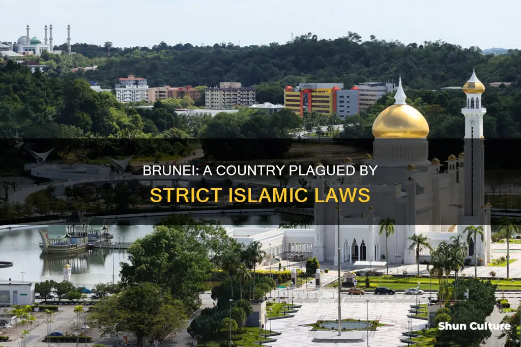 how bad is brunei