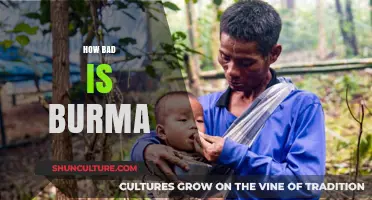 Unveiling the Complex Realities of Burma: A Journey Beyond the Surface