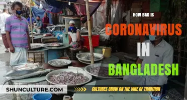 Coronavirus Impact in Bangladesh: Current Situation and Challenges