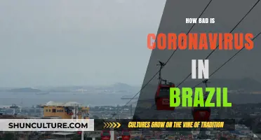 Brazil's COVID-19 Crisis: Severity, Impact, and Ongoing Challenges