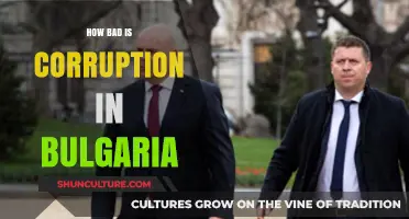 Unveiling the Depths of Corruption in Bulgaria: A Critical Analysis
