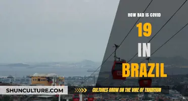COVID-19's Devastating Impact: Brazil's Struggle Against the Pandemic