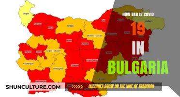 COVID-19 in Bulgaria: A Comprehensive Update on the Situation