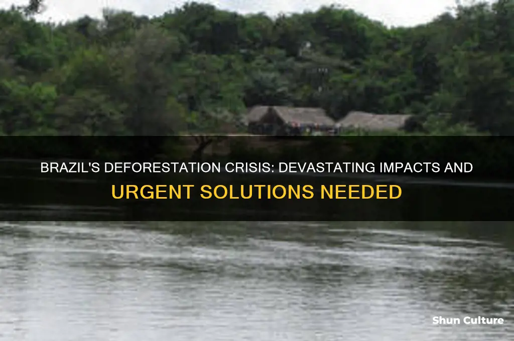 how bad is deforestation in brazil