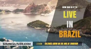 Living in Brazil: Challenges, Realities, and Quality of Life Explored