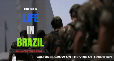 Life in Brazil: Challenges, Realities, and the Struggle for Progress