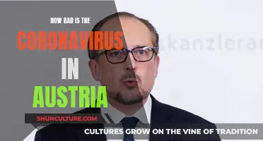 Coronavirus in Austria: A Country in Crisis