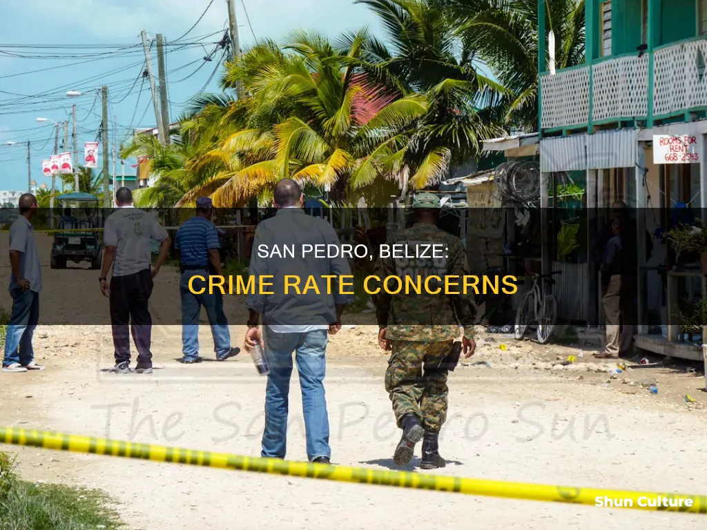 how bad is the crime rate in san pedro belize