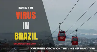 Brazil's COVID-19 Crisis: Severity, Impact, and Ongoing Challenges