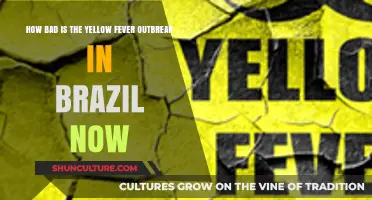 Brazil's Yellow Fever Outbreak: Current Severity and Public Health Concerns