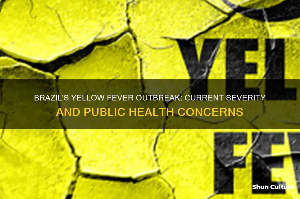 how bad is the yellow fever outbreak in brazil now