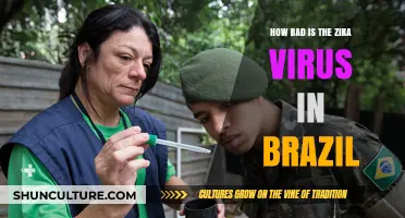 Zika Virus in Brazil: Current Risks, Impact, and Prevention Measures