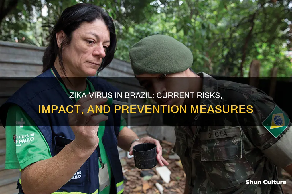 how bad is the zika virus in brazil
