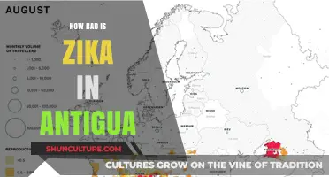 Zika in Antigua: Risks, Precautions, and Current Health Concerns