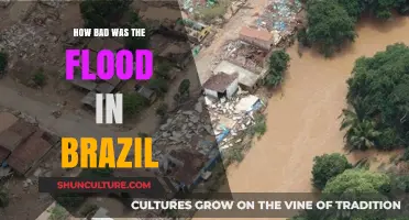 Brazil's Devastating Flood: Impact, Destruction, and Recovery Efforts