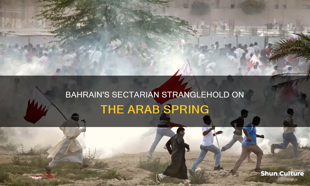 how bahrain sectarianized the arab spring