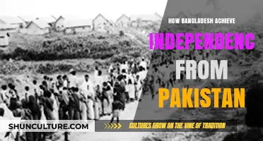 Bangladesh's Liberation: The Struggle for Independence from Pakistan