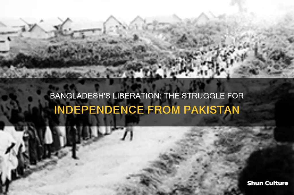 how bangladesh achieve independence from pakistan