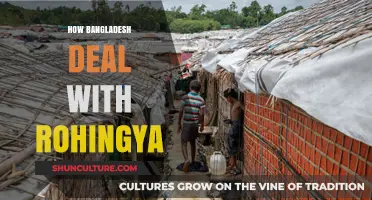 Bangladesh's Response to the Rohingya Crisis: Challenges and Efforts