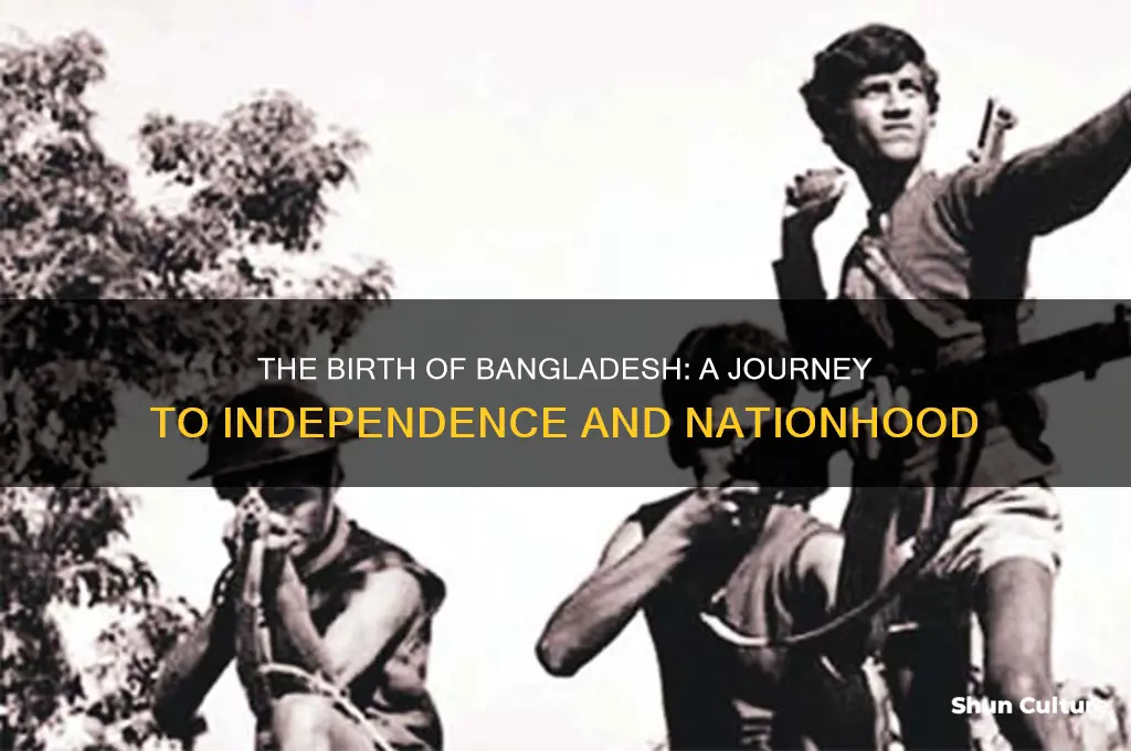 how bangladesh formed