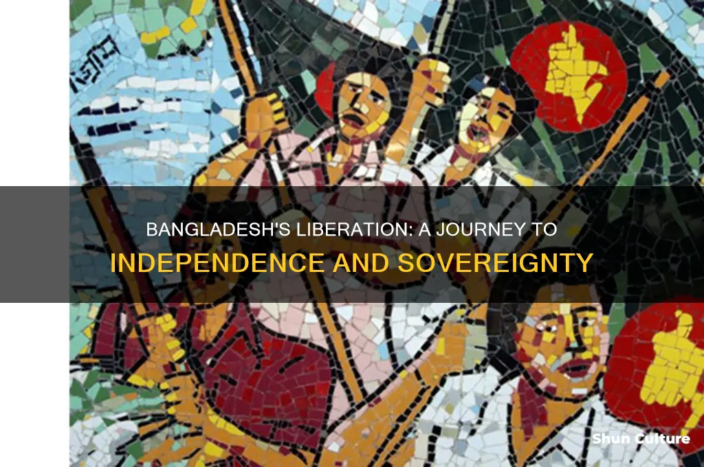 how bangladesh got freedom