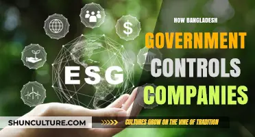 Bangladesh Government's Corporate Control: Policies, Regulations, and Oversight Explained