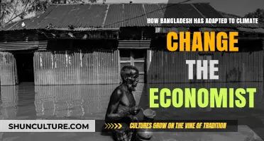 Bangladesh's Resilience: Adapting to Climate Change Challenges