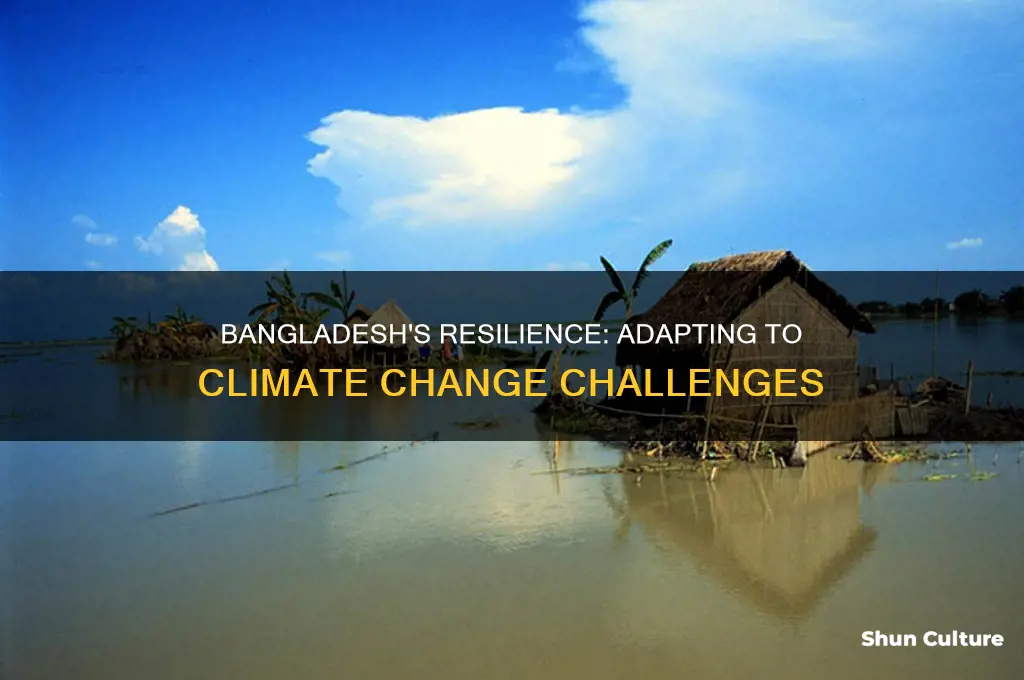 how bangladesh has adapted to climate change the economist
