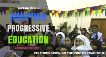 Bangladesh's Progressive Education Revolution: Innovations, Challenges, and Future Prospects