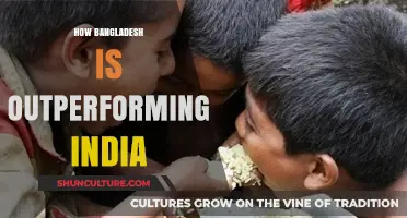 Bangladesh's Rise: Surpassing India in Economic Growth and Development