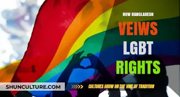 Bangladesh's Complex Stance on LGBT Rights: Perspectives and Challenges