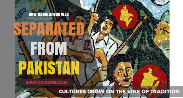 The 1971 Liberation War: Bangladesh's Separation from Pakistan Explained