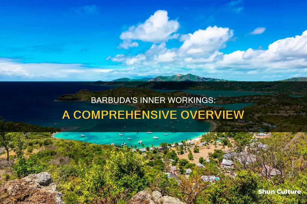 how barbuda works