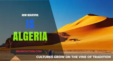 Discover Algeria's Stunning Landscapes and Rich Cultural Beauty