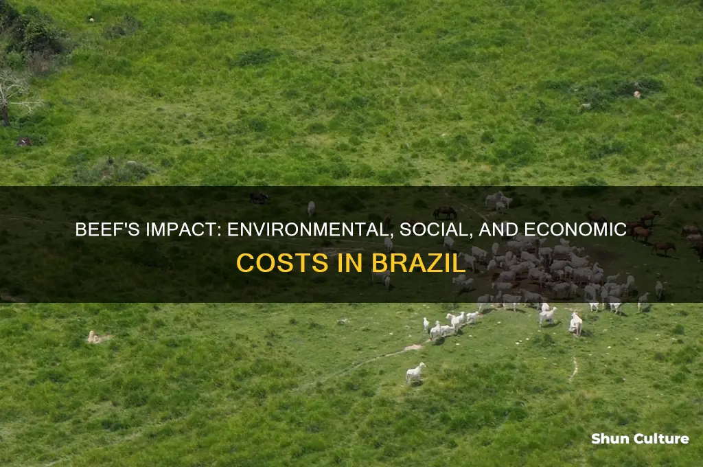 how beef hurts brazil