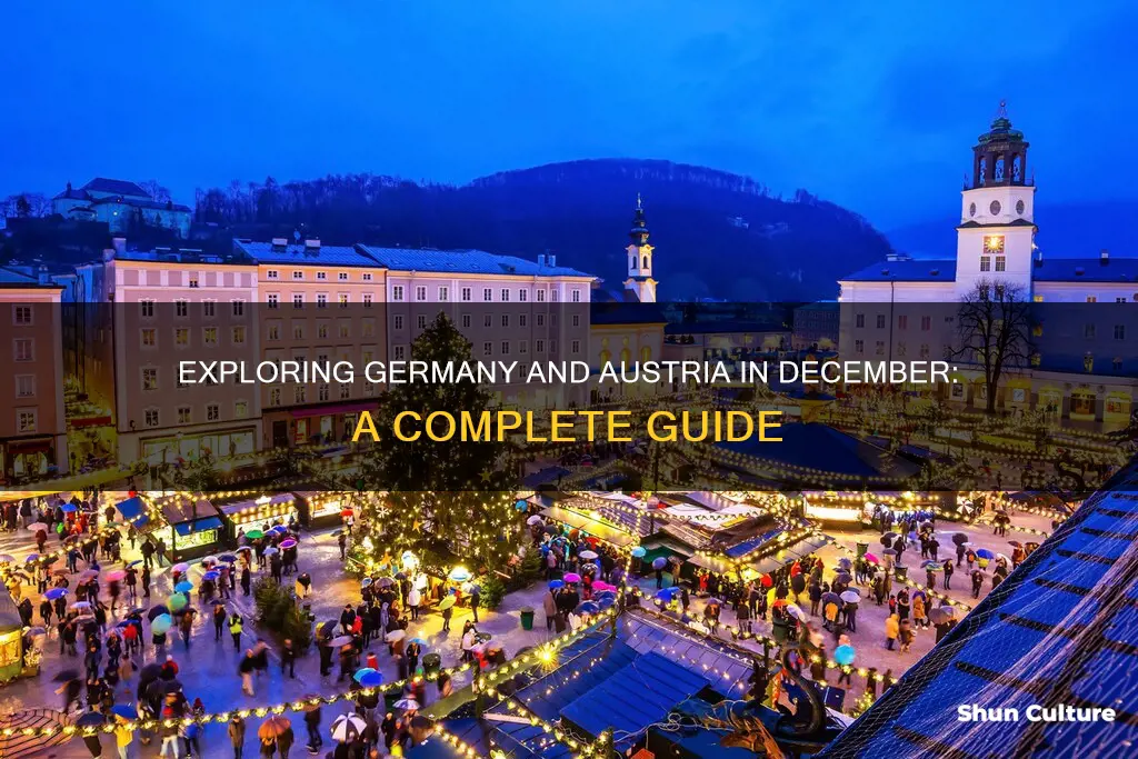 how best to visit germany and austria in dec