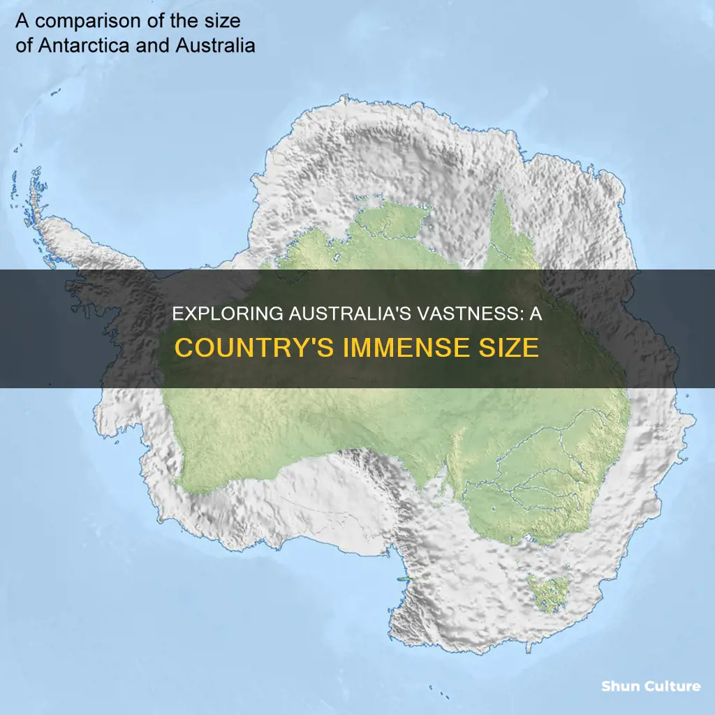 how big 8s australia